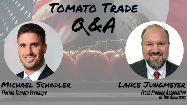 tomato qanda