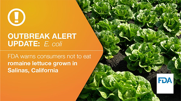 fda romaine alert