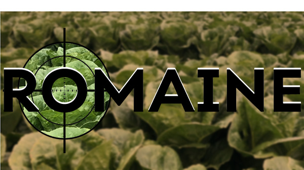 romaine – bb