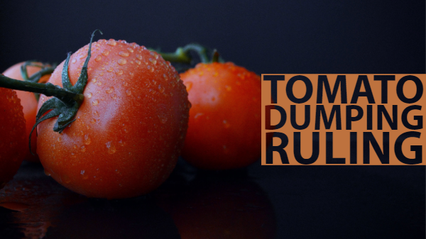 tomato dumping itc