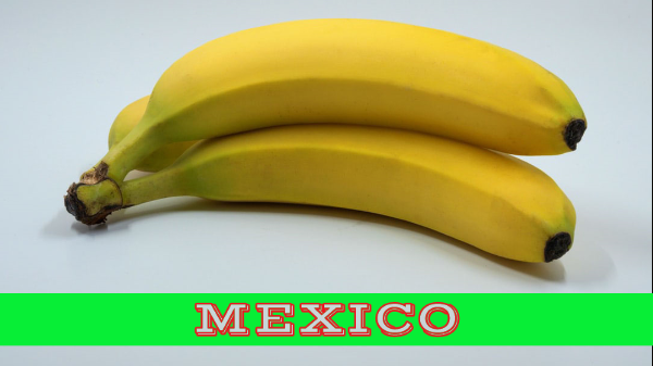 mexico bananas