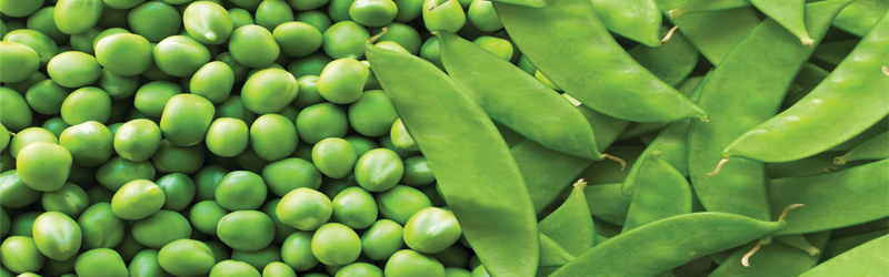 Peas and Snow Peas