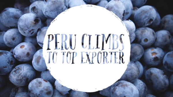 peru blueberries