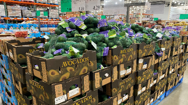 costco avocados