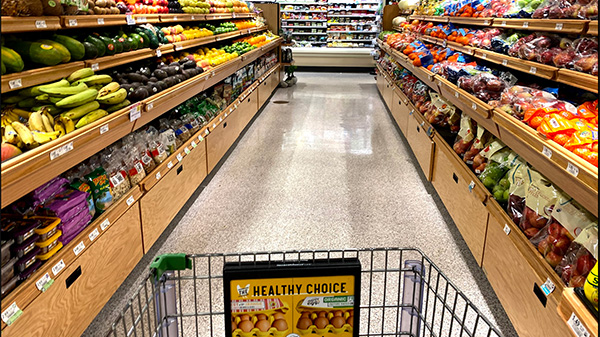 publix grocery cart