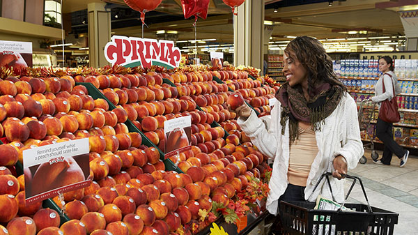 Gerawan shoot at Gelson’s Pasadena