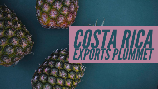 costa rica exports 4-24-20