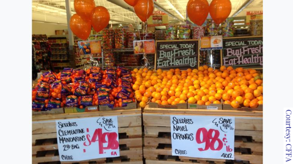 chile citrus retail