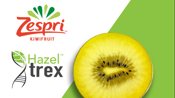 hazel zespri