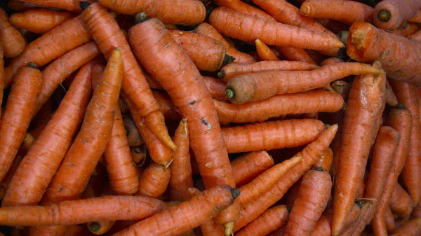 carrots