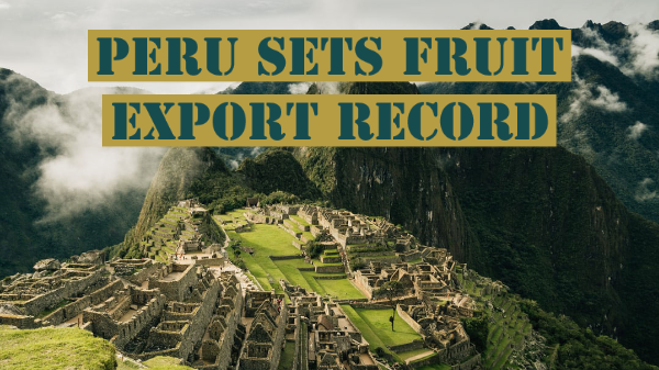 peru export 8-6-20