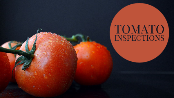 tomato inspections