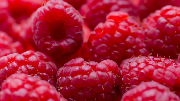 raspberries