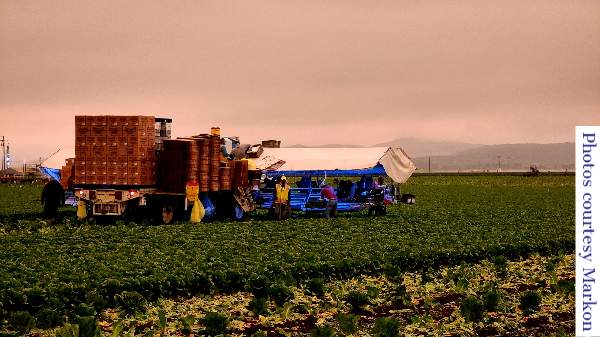 salinas fire 9-10-20