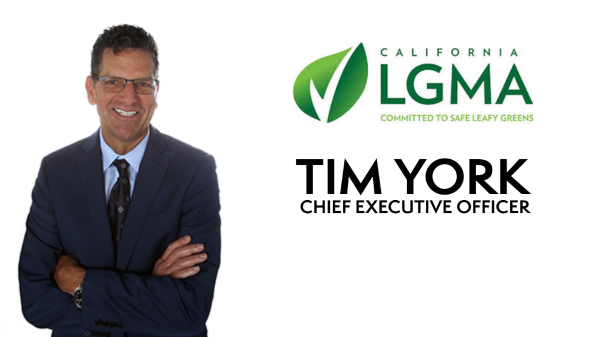 TIM YORK LGMA