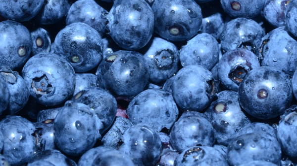 blueberries