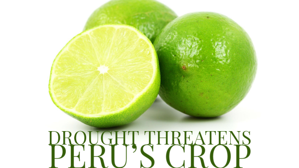 peru lime drought