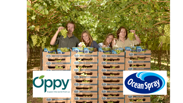 Oppy- Ocean Spray final header 2