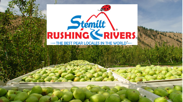 Stemilt – Rushing Rivers Final 1-18