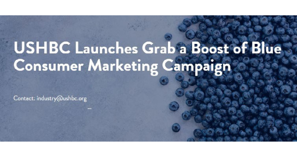 USHBC Blueberry Mktg Campaign Final Logo