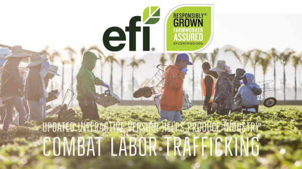 EFI – Labor Trafficking Final Header