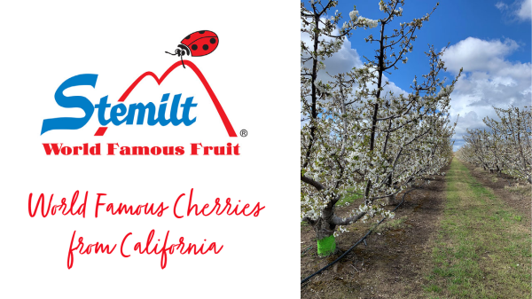 Stemilt cherries