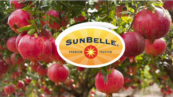 Sunbelle Header Final