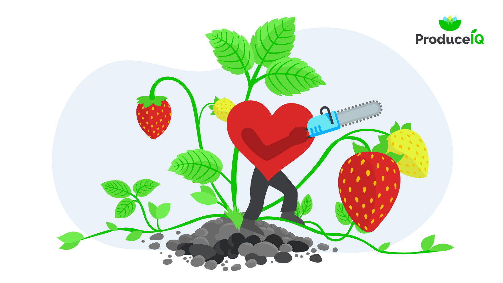 Valentines_cutting_strawberry