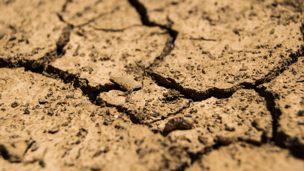 drought soil