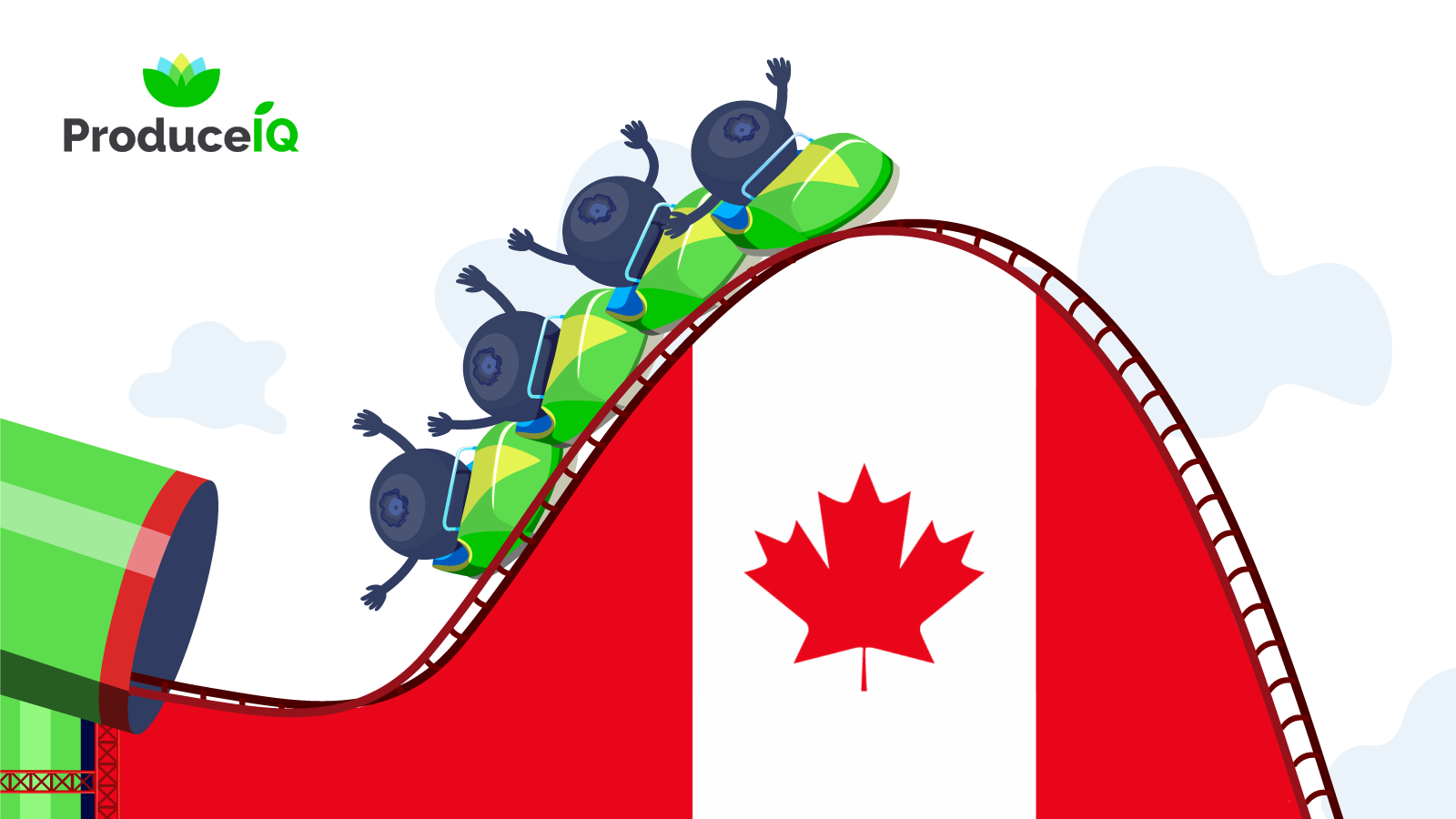 Blueberry_on_the_rollercoaster