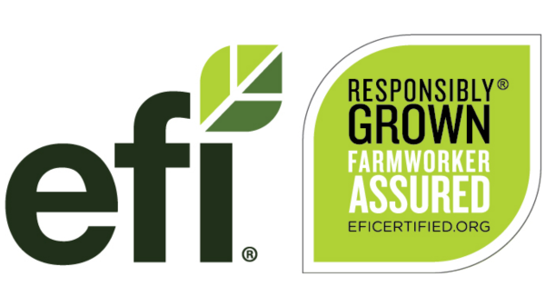 EFI Logo