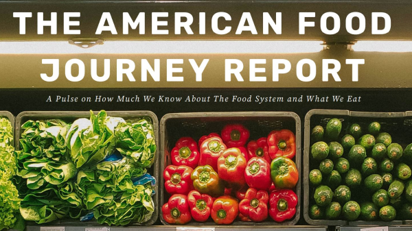 am food journey report