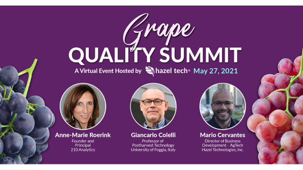 hazel grape summit