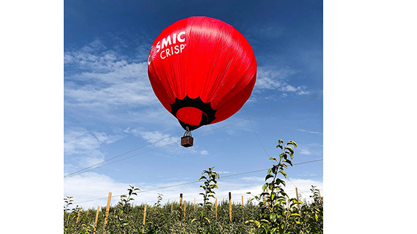 cosmic crisp balloon