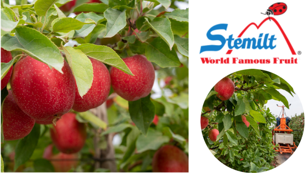 Stemilt Apple Header Final 8-20