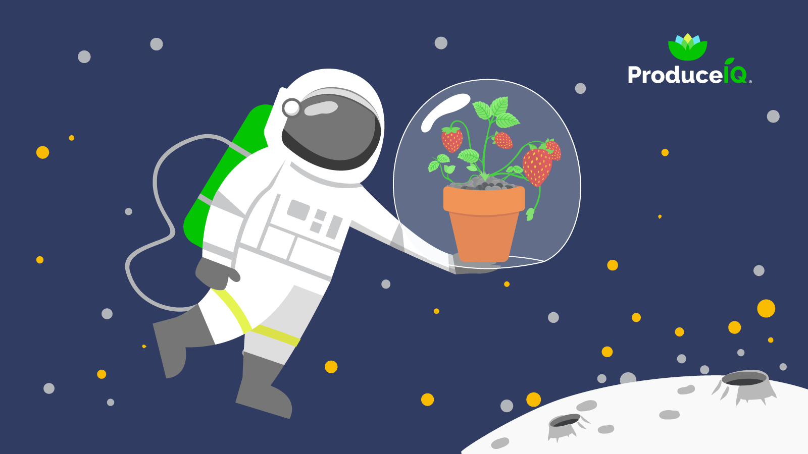 Astronaut_growingstrawberry