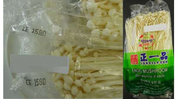 jongilpoom enoki mushroom recall