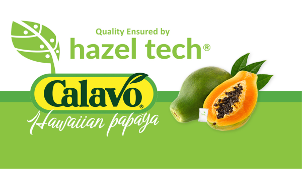 Hazel Tech- Calavo Final Banner