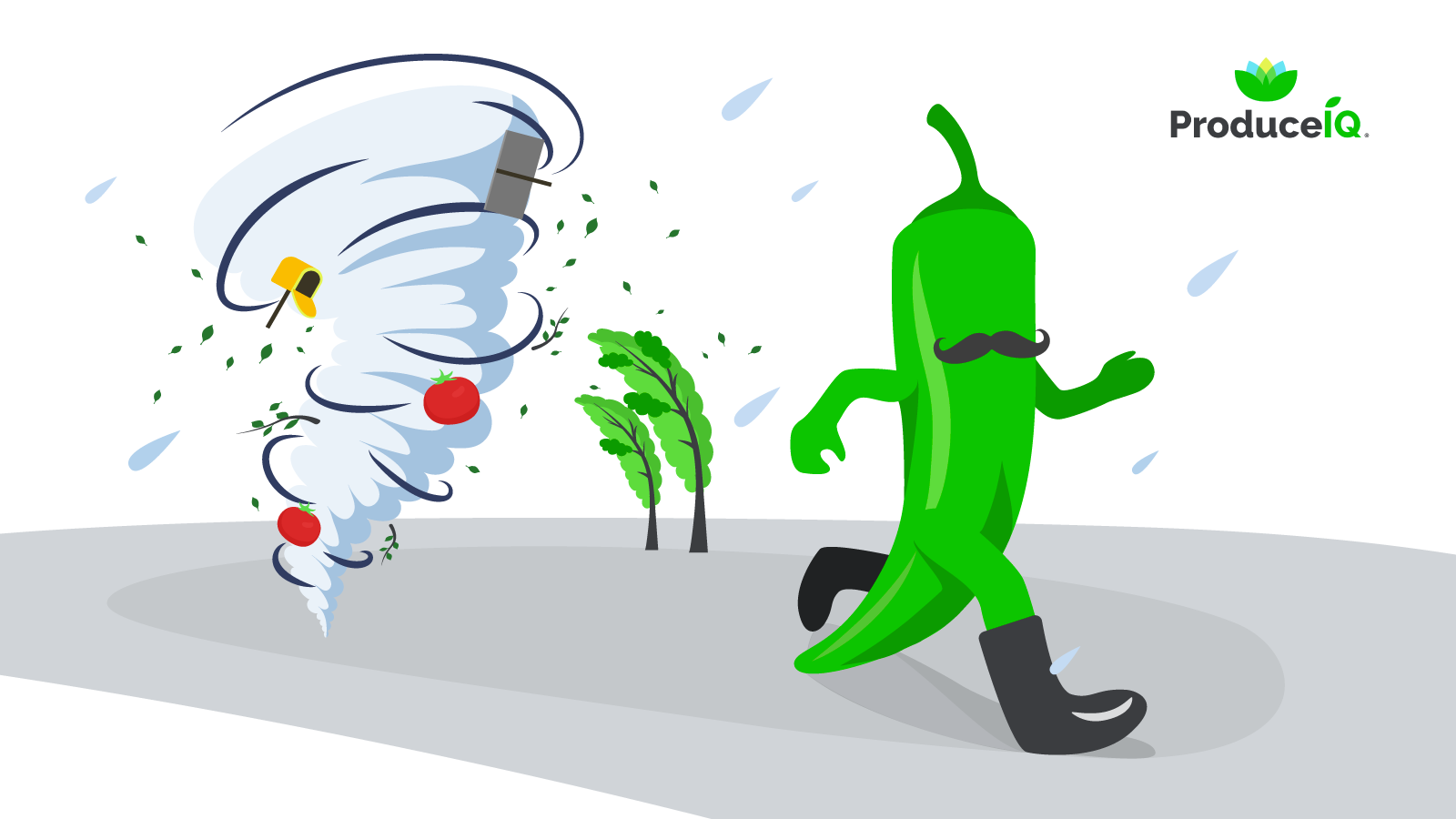 Jalapeno_running_hurricane