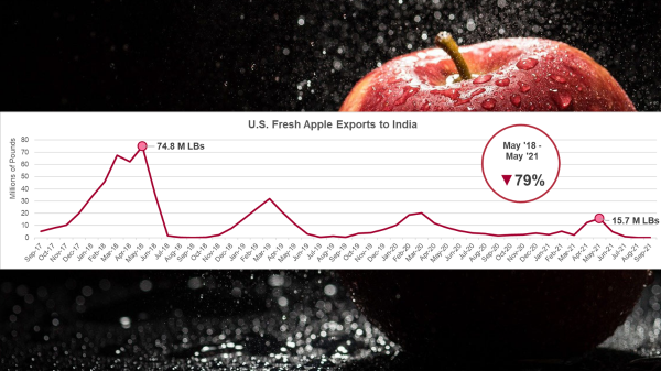 apples-india-2