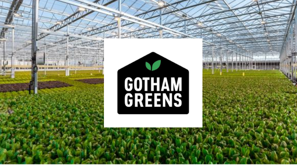 Gotham Greens indoor greenhouse fresh produce