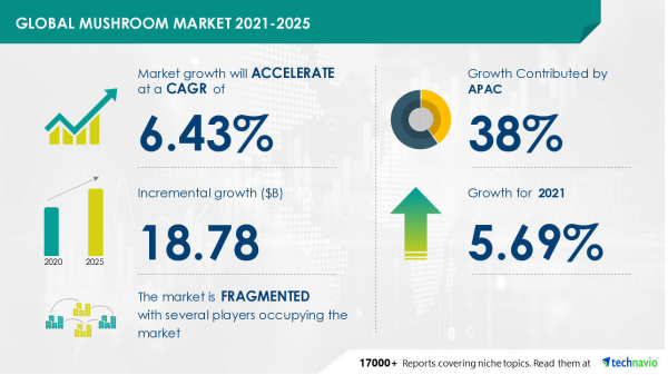 technavio mushroom