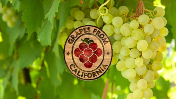 California Table Grape Commission Final USDA Banner