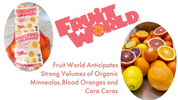 Fruit World Final Banner