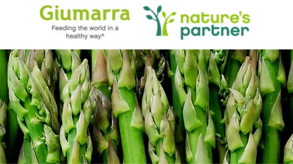 Giumarra CA Asparagus Final Banner