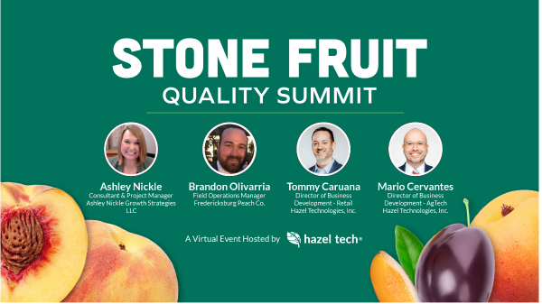 Hazel Tech- First Quality Summit Banner Final