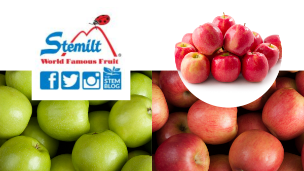 Stemilt apple Final Banner