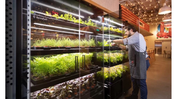 farmshelf indoor farm