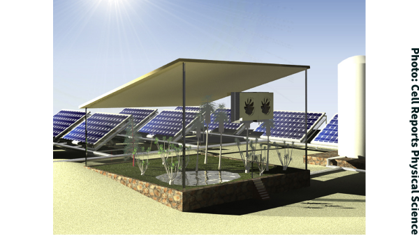 Cell Reports Physical Science solar