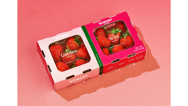 bowery strawb two-pack